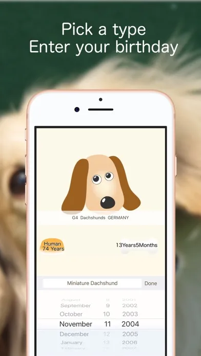 Pets Age 스크린샷