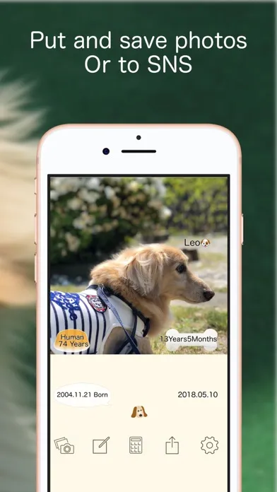 Pets Age 스크린샷