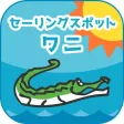 セーリングスポットワニ