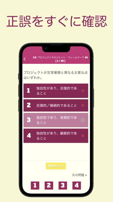 صور PMP オリジナル問題集 〜プロジェクトマネジメント問題集〜