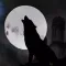 Online Werewolf X