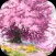 脱出ゲーム - 恋桜のおまじない -