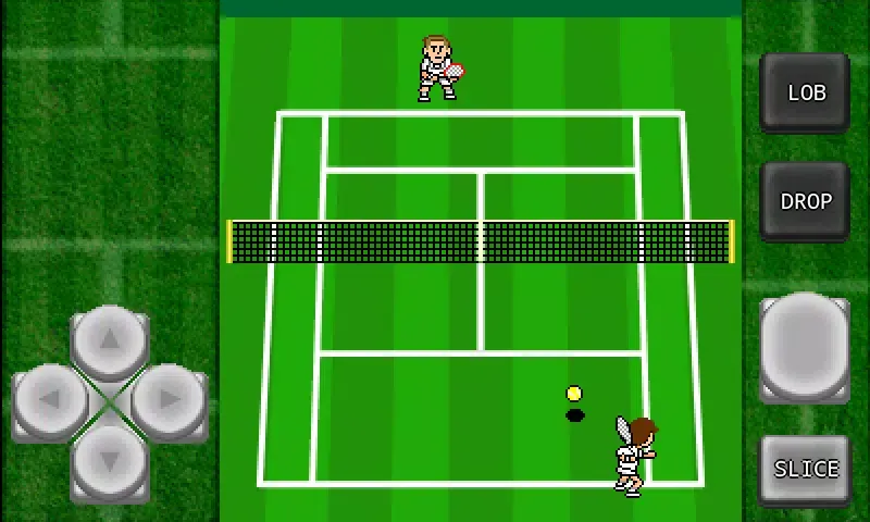 تصاویر Gachinko Tennis