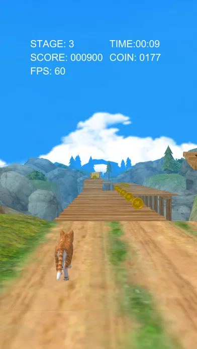تصاویر CatRunner2022