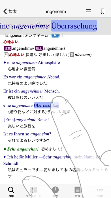 アクセス独和・和独辞典应用截图