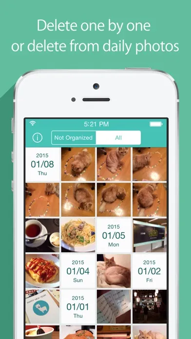 Captures d'écran de ALPACA - delete photos efficiently, organize camera roll and save memory