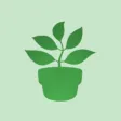 Greenery Club
