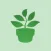 Greenery Club