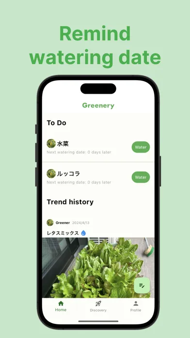 صور Greenery Club