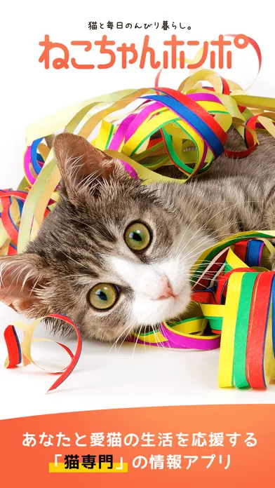 Captures d'écran de 猫のニュースや飼い方の情報をまとめ読み -ねこちゃんホンポ-