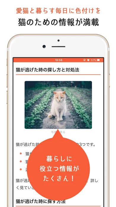 Captures d'écran de 猫のニュースや飼い方の情報をまとめ読み -ねこちゃんホンポ-