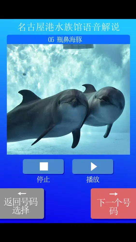 名古屋港水族馆语音解说 スクリーンショット