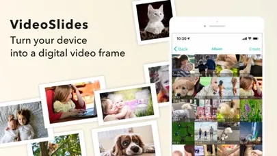 Video Slides Screenshots