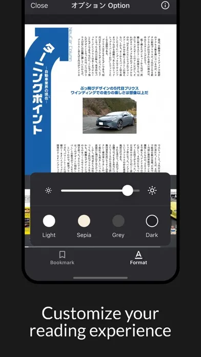 Zrzuty ekranu オプション Option