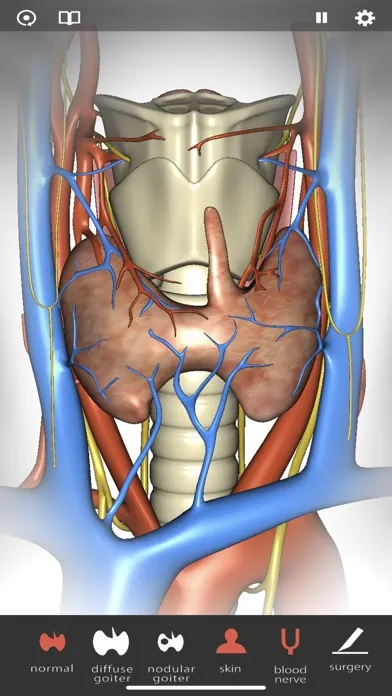 صور Thyroid Navigator