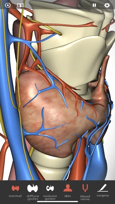 صور Thyroid Navigator