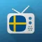 1TV - TV Sverige
