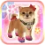 My Dog My Style
