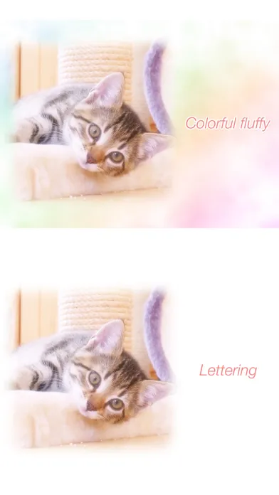 WataameCamera Screenshots