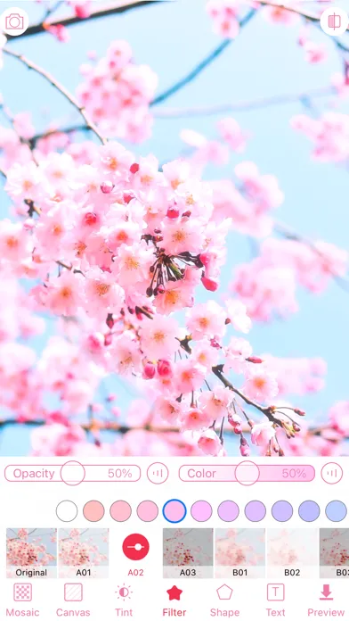 WataameCamera Screenshots