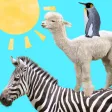 Animal Tower
