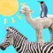 Animal Tower