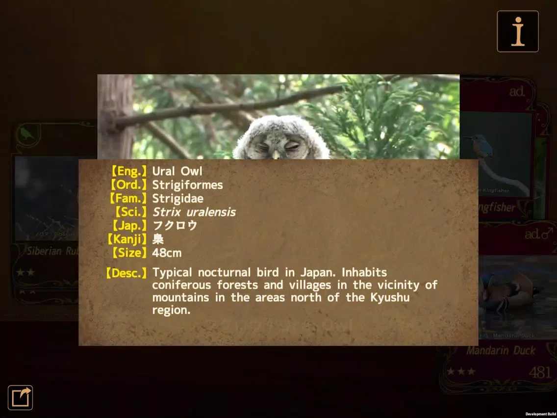 Zrzuty ekranu Birds Collection-The library of wild birds video- iPad 