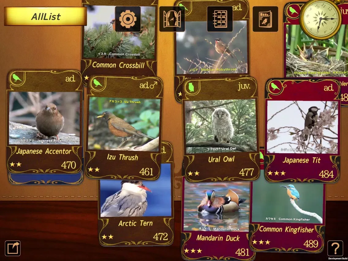 Zrzuty ekranu Birds Collection-The library of wild birds video- iPad 