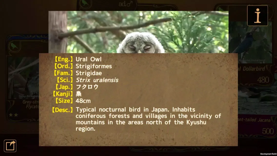 Zrzuty ekranu Birds Collection-The library of wild birds video-