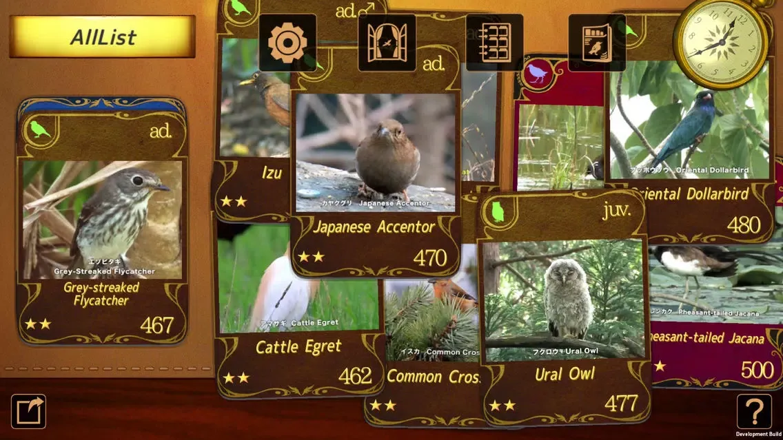 Zrzuty ekranu Birds Collection-The library of wild birds video-