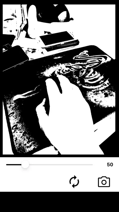Tangkapan skrin Simple Black And White Camera