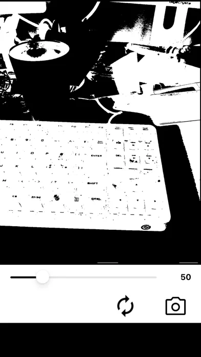 Tangkapan skrin Simple Black And White Camera