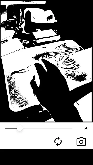Tangkapan skrin Simple Black And White Camera