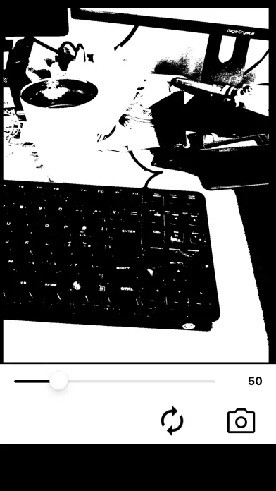 Tangkapan skrin Simple Black And White Camera