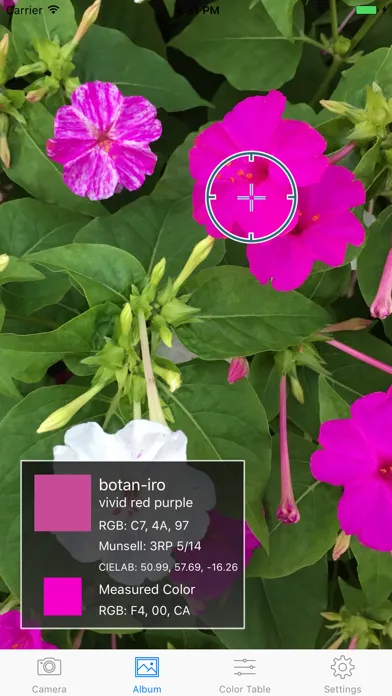 Tangkapan layar Chromatic Color Helper