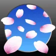 SAKURA Now! - AR Sakura Camera SAKURA Now! - AR Sakura Camera