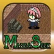 MAZE & SEEK