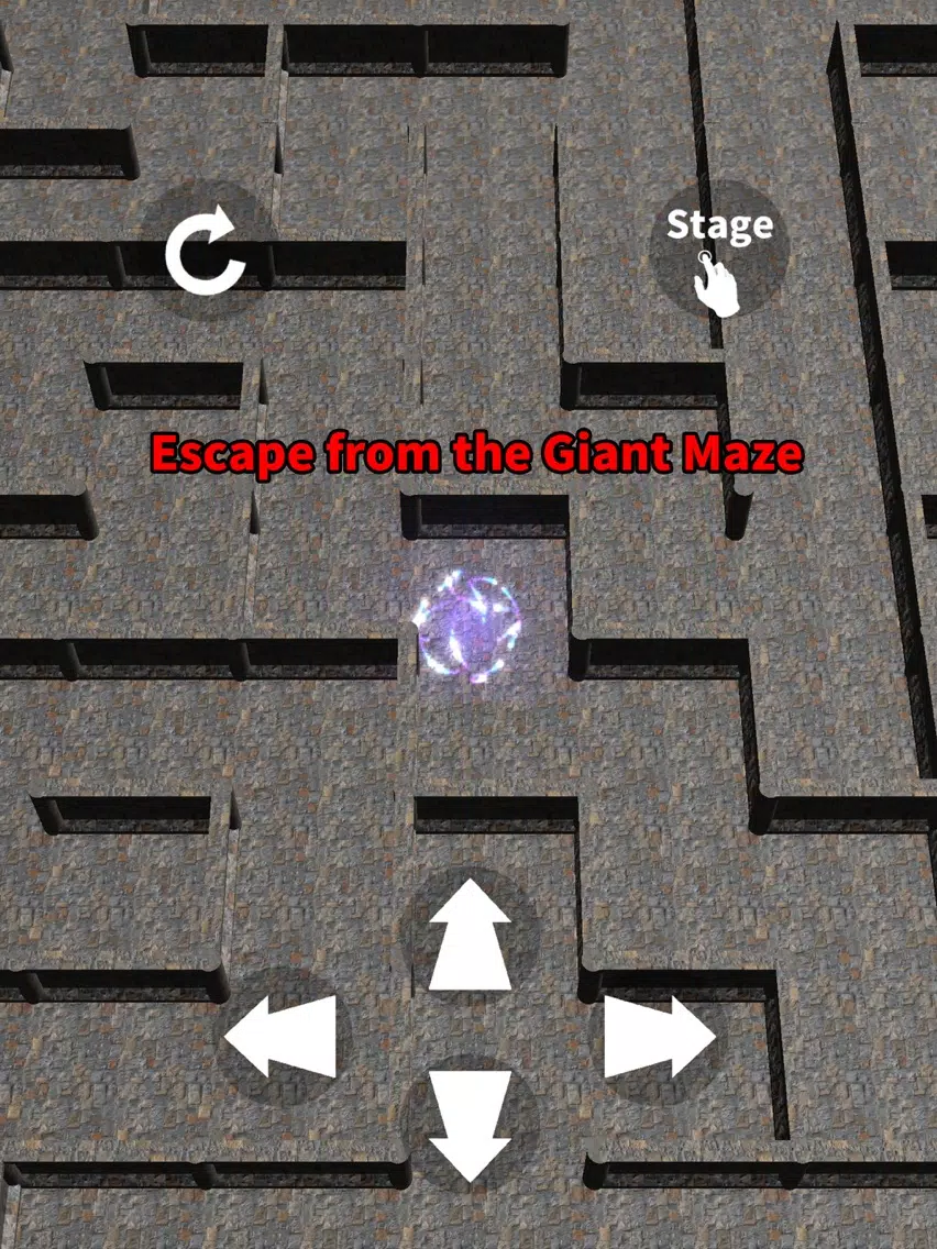 Screenshot di Giant Maze 100 Levels iPad 