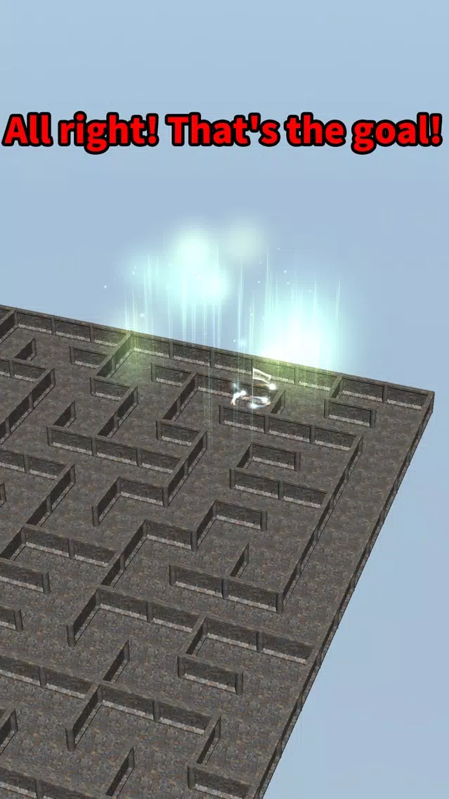Screenshot di Giant Maze 100 Levels