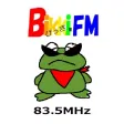 Bikki-fm of using FM++ Bikki-fm of using FM++