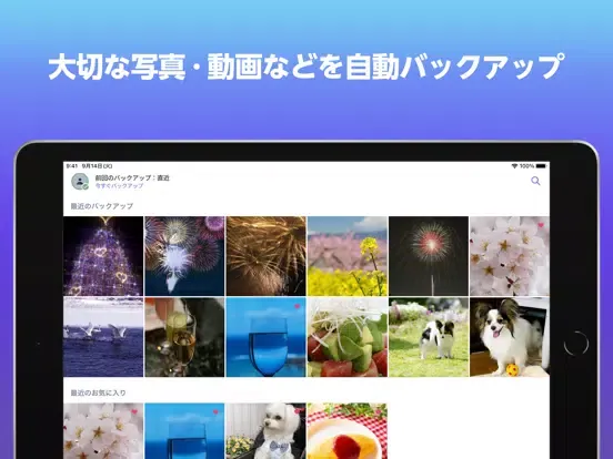 Capturas de tela do あんしんデータボックス iPad 