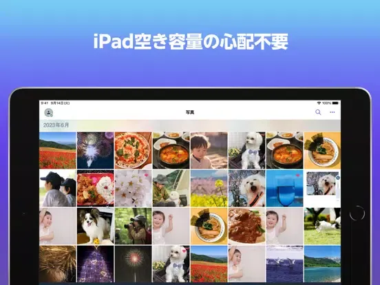 Capturas de tela do あんしんデータボックス iPad 