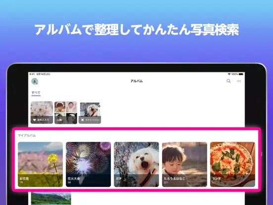 Capturas de tela do あんしんデータボックス iPad 