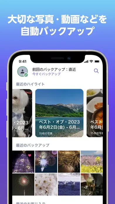Capturas de tela do あんしんデータボックス