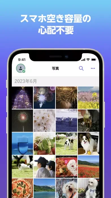 Capturas de tela do あんしんデータボックス