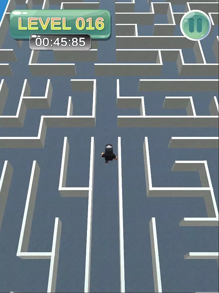 Maze Man! iPad 應用截圖