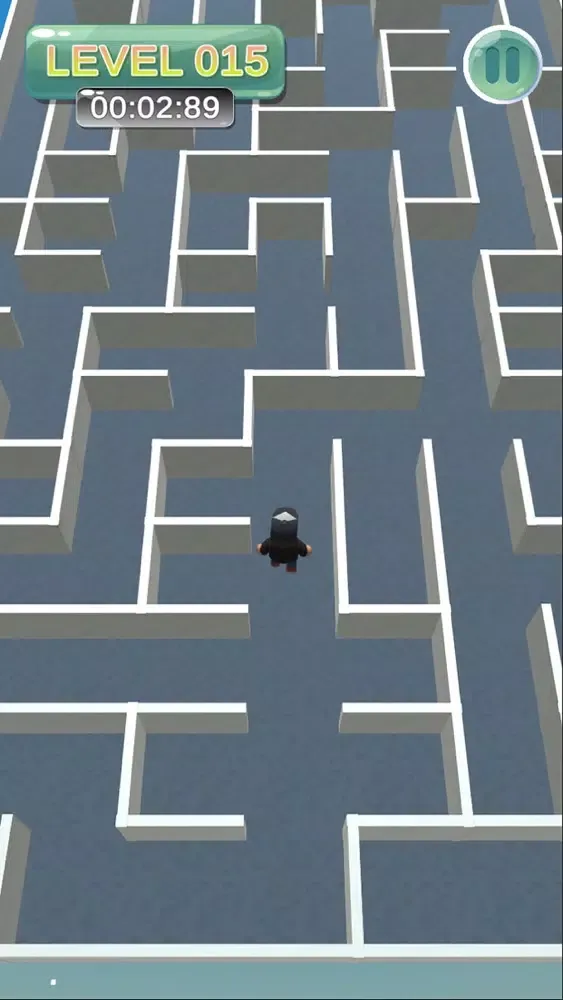 Maze Man!應用截圖
