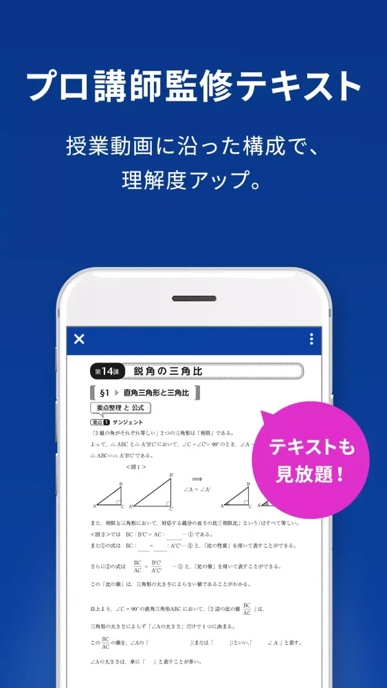 スタディサプリ 小学/中学/高校/大学受験講座 স্ক্রিনশট