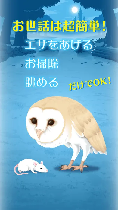 Owl Simulation Game Screenshots