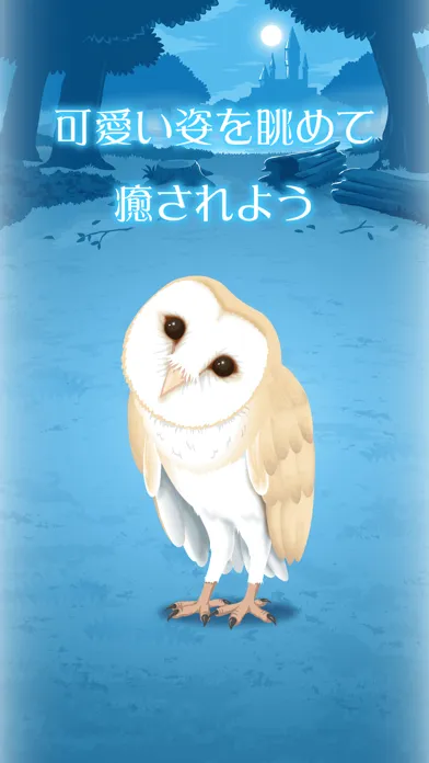 Owl Simulation Game Screenshots